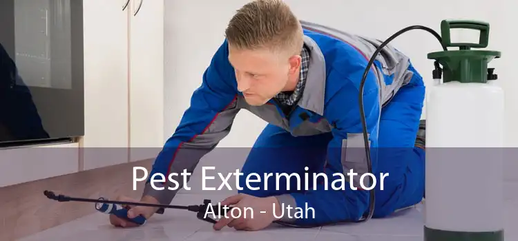 Pest Exterminator Alton - Utah