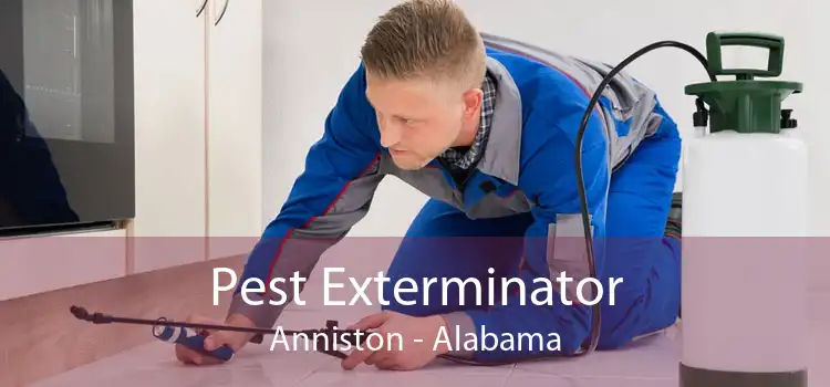 Pest Exterminator Anniston - Alabama