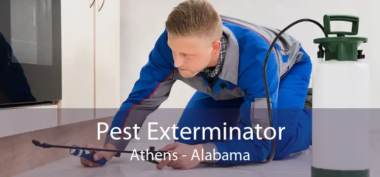 Pest Exterminator Athens - Alabama