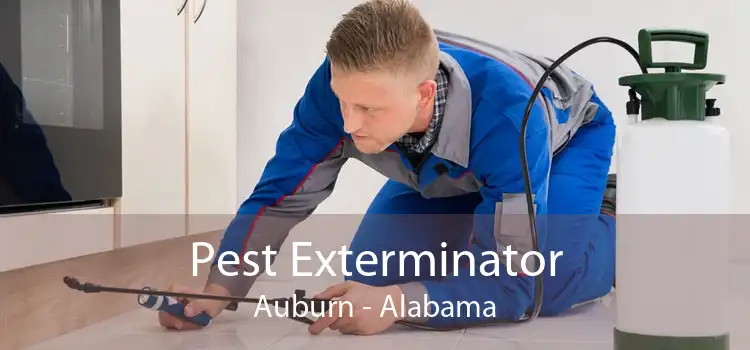 Pest Exterminator Auburn - Alabama