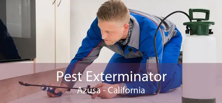 Pest Exterminator Azusa - California