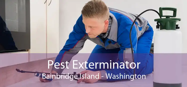 Pest Exterminator Bainbridge Island - Washington