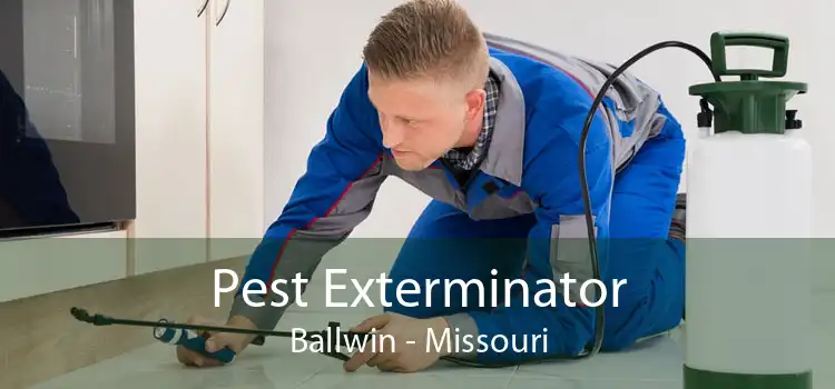 Pest Exterminator Ballwin - Missouri