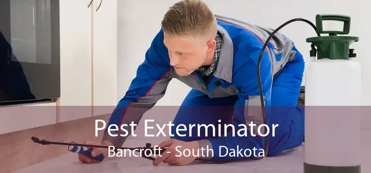 Pest Exterminator Bancroft - South Dakota