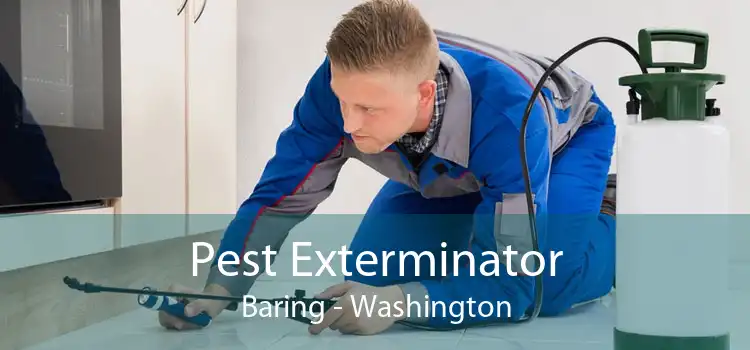 Pest Exterminator Baring - Washington