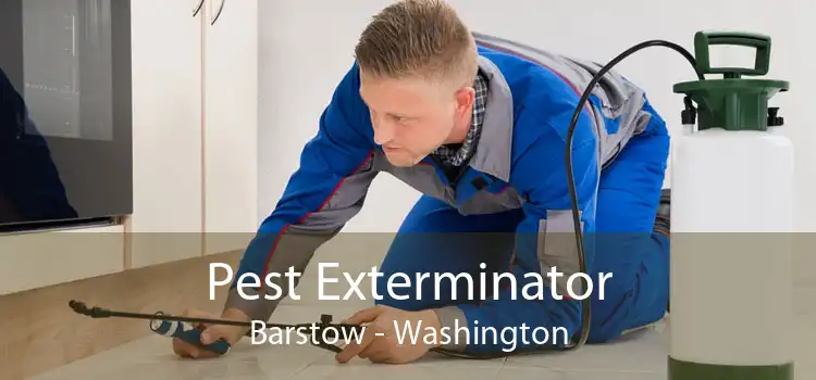 Pest Exterminator Barstow - Washington