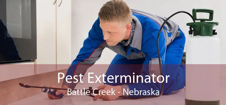 Pest Exterminator Battle Creek - Nebraska