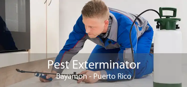 Pest Exterminator Bayamon - Puerto Rico