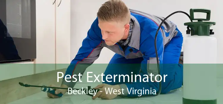 Pest Exterminator Beckley - West Virginia