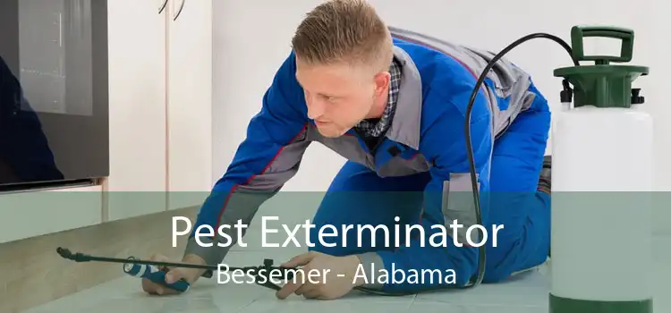 Pest Exterminator Bessemer - Alabama