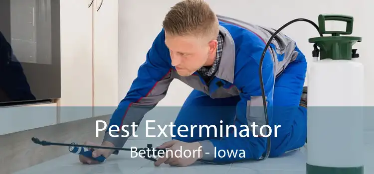 Pest Exterminator Bettendorf - Iowa