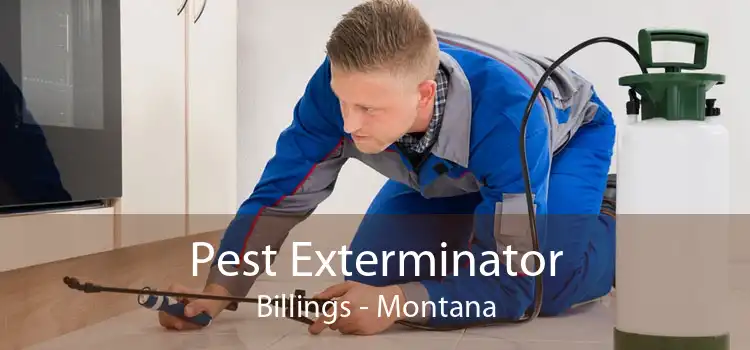 Pest Exterminator Billings - Montana