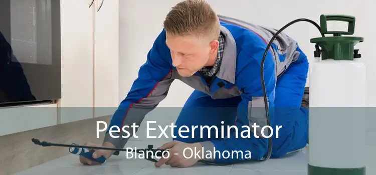 Pest Exterminator Blanco - Oklahoma