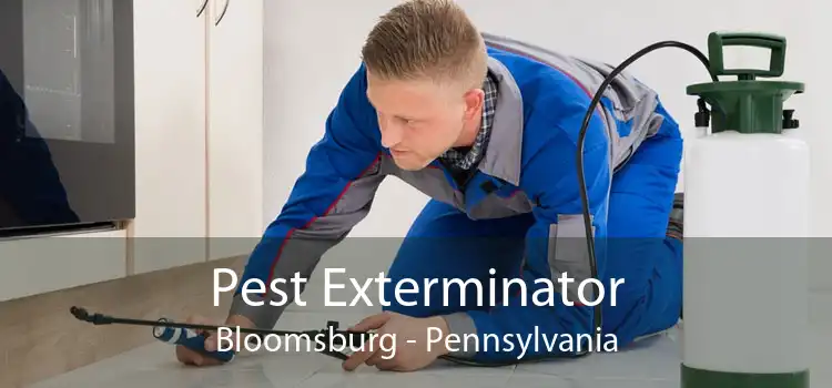 Pest Exterminator Bloomsburg - Pennsylvania