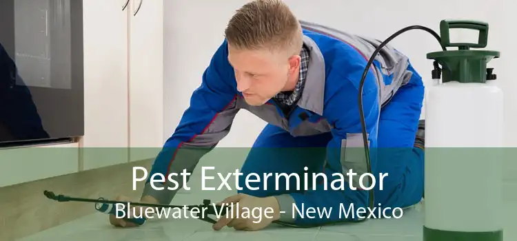 Pest Exterminator Bluewater Village - New Mexico