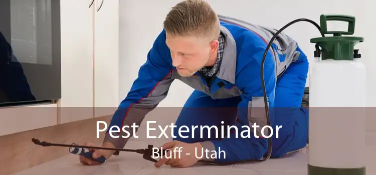Pest Exterminator Bluff - Utah