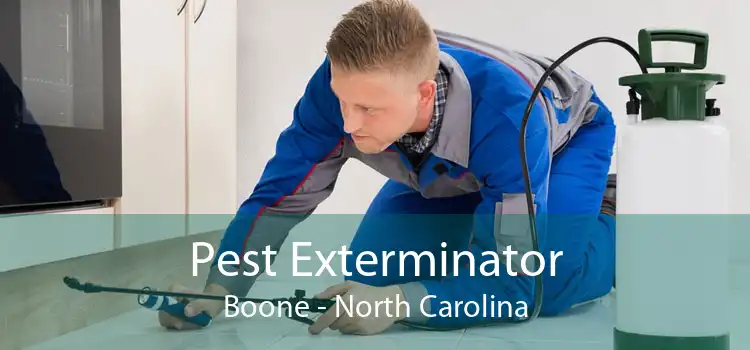 Pest Exterminator Boone - North Carolina
