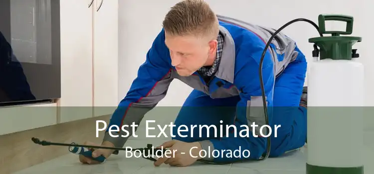 Pest Exterminator Boulder - Colorado