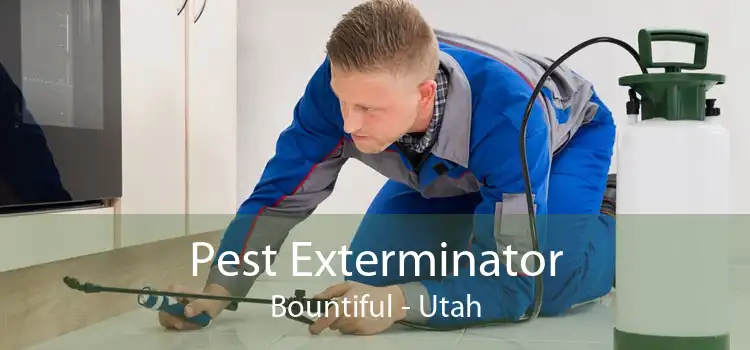 Pest Exterminator Bountiful - Utah