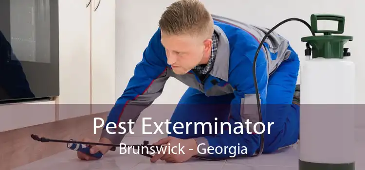 Pest Exterminator Brunswick - Georgia
