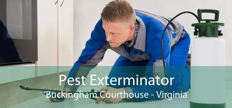 Pest Exterminator Buckingham Courthouse - Virginia
