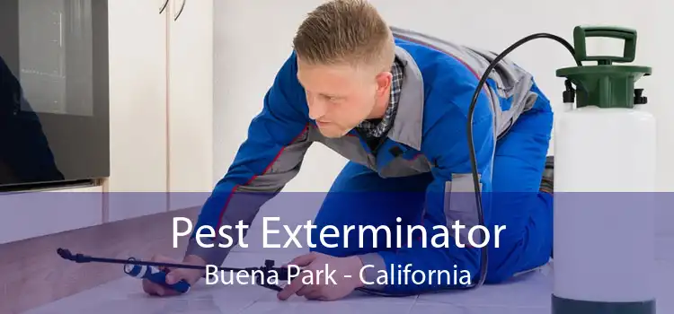 Pest Exterminator Buena Park - California