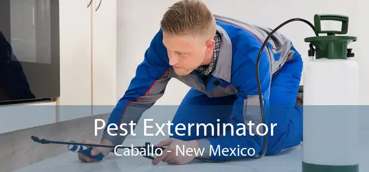 Pest Exterminator Caballo - New Mexico