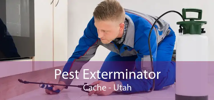 Pest Exterminator Cache - Utah