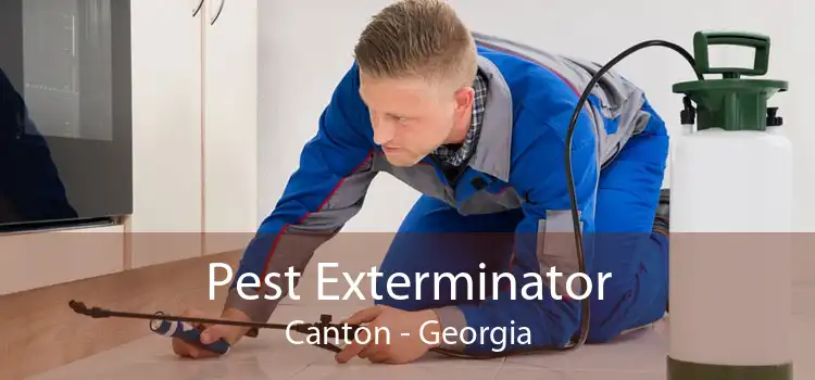 Pest Exterminator Canton - Georgia