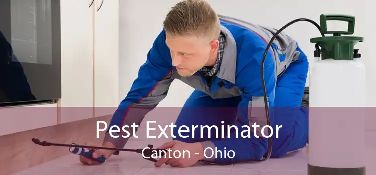 Pest Exterminator Canton - Ohio