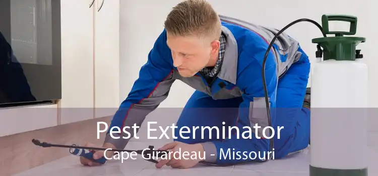 Pest Exterminator Cape Girardeau - Missouri