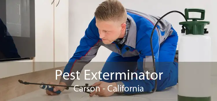 Pest Exterminator Carson - California