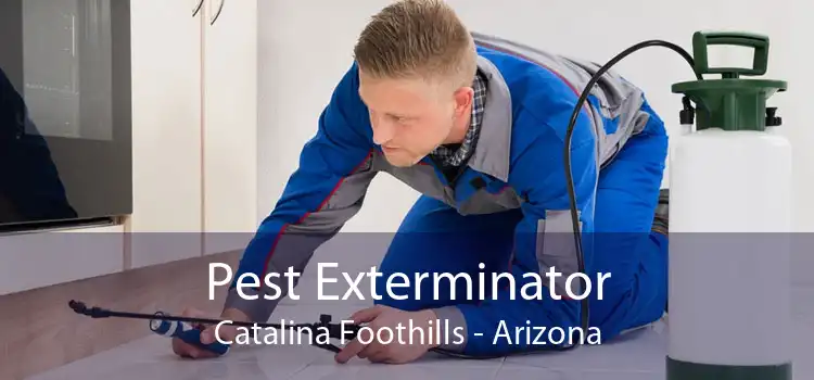 Pest Exterminator Catalina Foothills - Arizona
