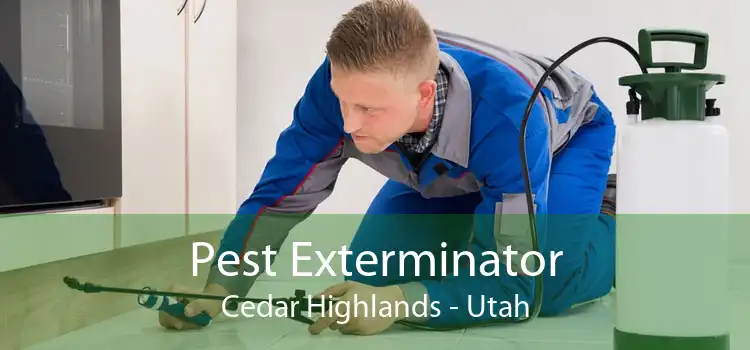 Pest Exterminator Cedar Highlands - Utah