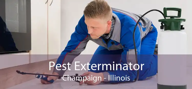 Pest Exterminator Champaign - Illinois