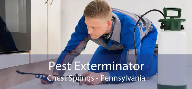 Pest Exterminator Chest Springs - Pennsylvania