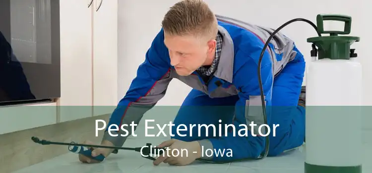 Pest Exterminator Clinton - Iowa