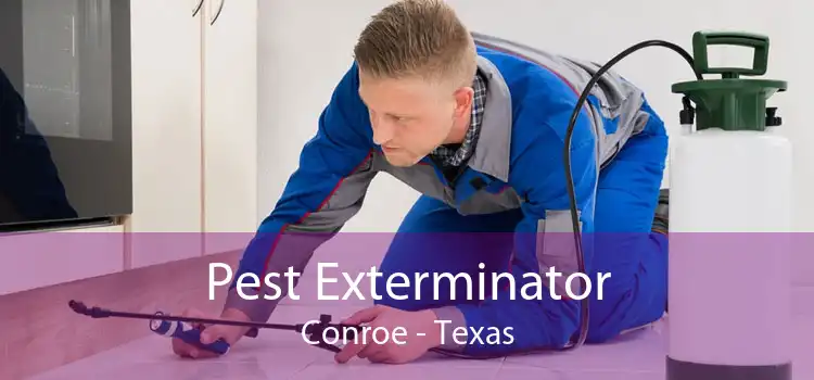 Pest Exterminator Conroe - Texas