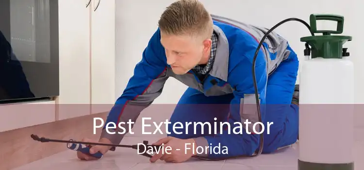 Pest Exterminator Davie - Florida