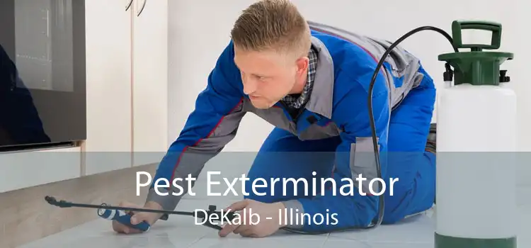 Pest Exterminator DeKalb - Illinois