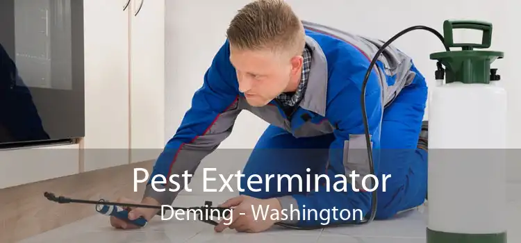 Pest Exterminator Deming - Washington