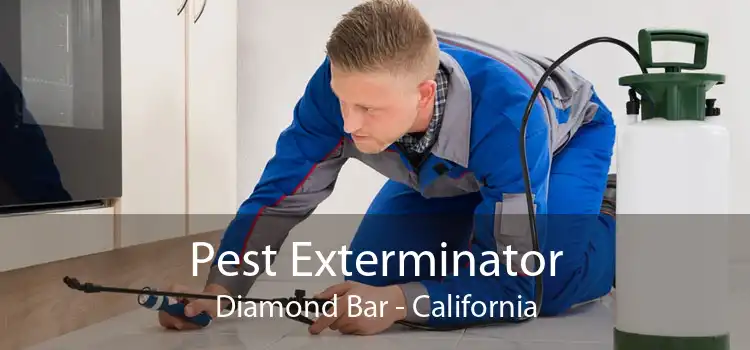 Pest Exterminator Diamond Bar - California