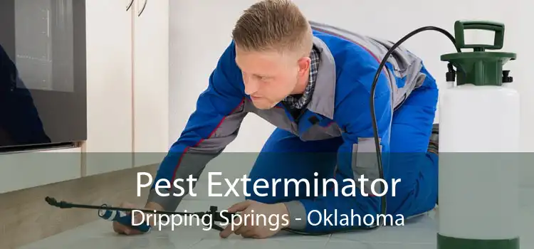 Pest Exterminator Dripping Springs - Oklahoma