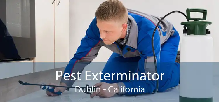 Pest Exterminator Dublin - California