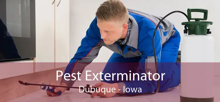 Pest Exterminator Dubuque - Iowa