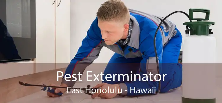 Pest Exterminator East Honolulu - Hawaii