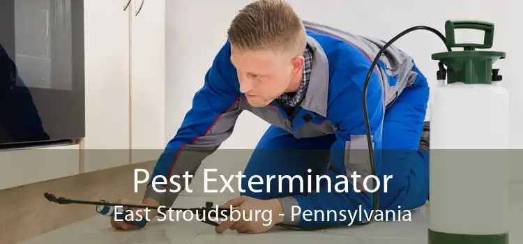Pest Exterminator East Stroudsburg - Pennsylvania