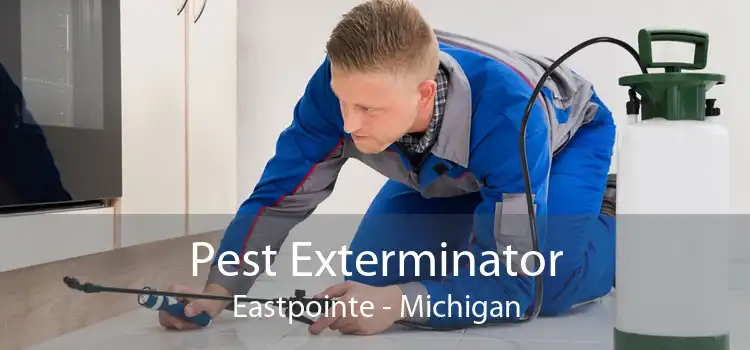 Pest Exterminator Eastpointe - Michigan