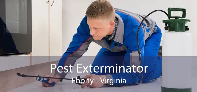 Pest Exterminator Ebony - Virginia