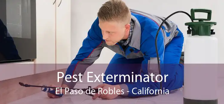 Pest Exterminator El Paso de Robles - California